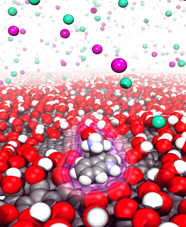 Graphene oxide sheet in water with a small molecule adsorbed on its surface and ions above it