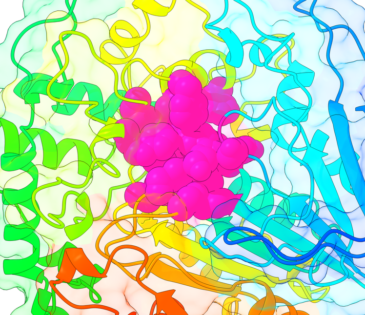 Enzyme in rainbow cartoon with the ligand highlighted in magenta