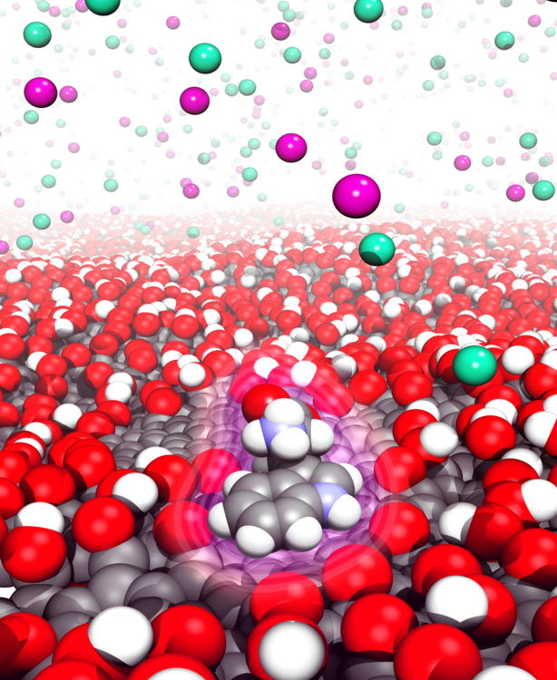Graphene oxide sheet in water with a molecule adsorbed on its surface