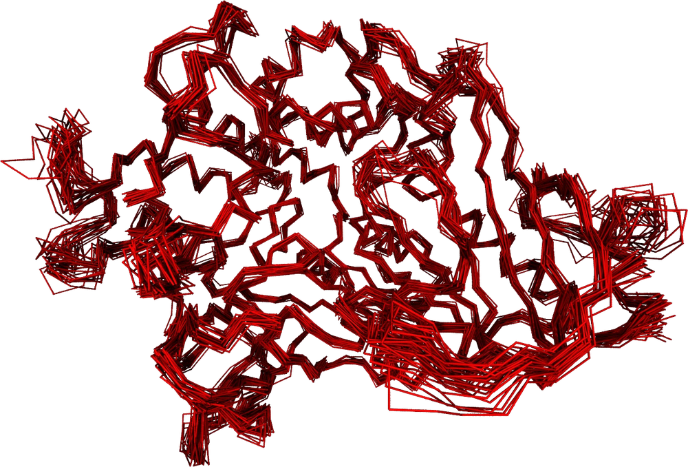 Overlaid backbone traces of many trajectory frames in red