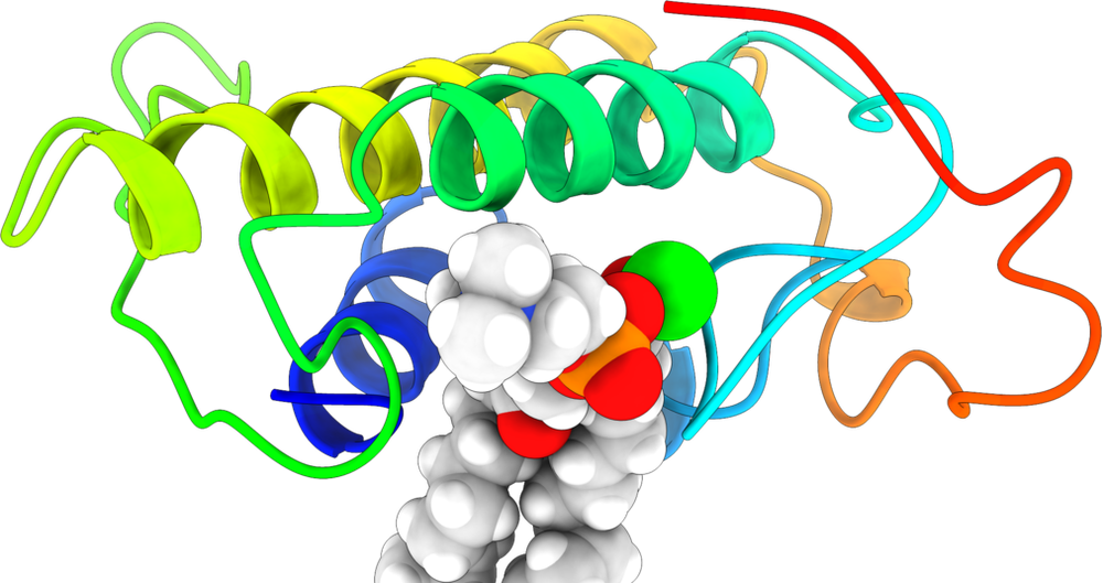 Protein helices around a bound substrate shown as spheres