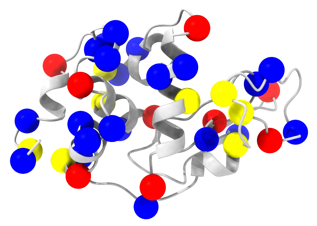 Lysozyme cartoon with the titratable side chains coloured from red (deprotonated) to blue (protonated) by their consensus pKa relative to pH 7, and the disulfide bonds in yellow